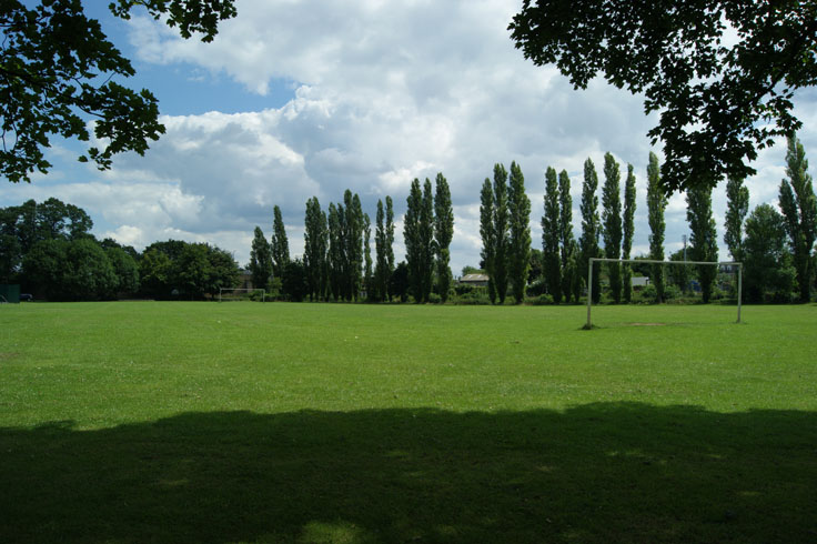 A playing field, with a row of trees at the back and goalposts at either side.